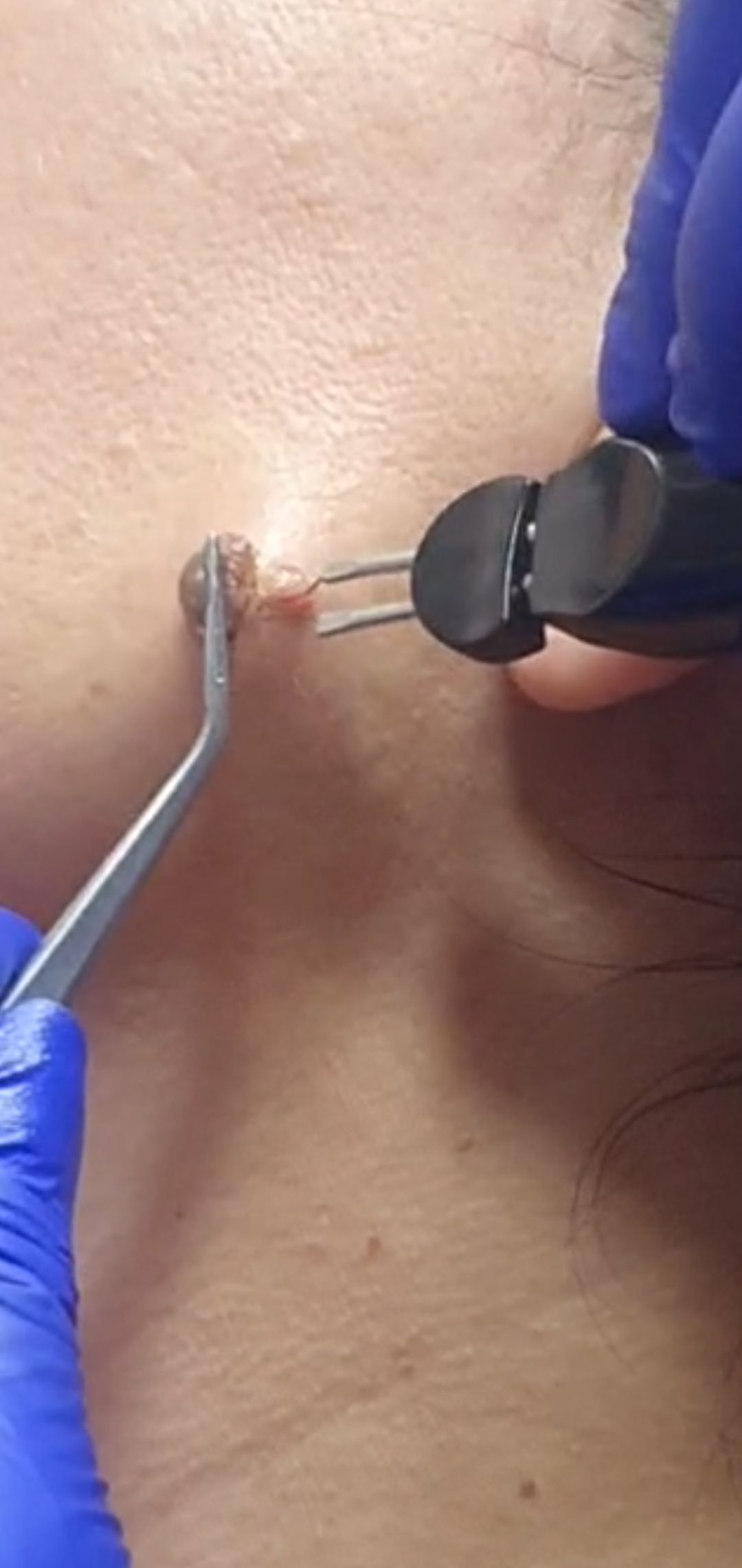 Fabiola Arcos Huesca-66