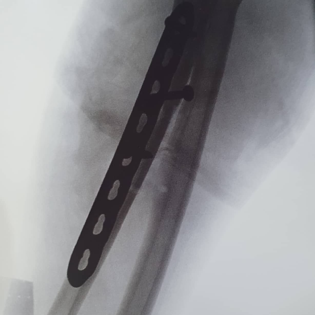 Caro Alonso Gómez-13