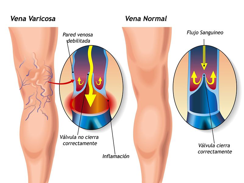 Bárbara Hilaria Padrón Novales-6