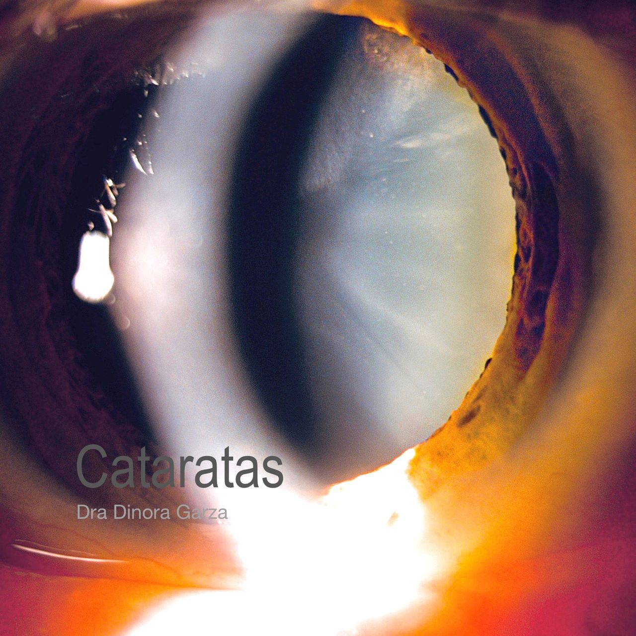 Dinora Garza Leal-50