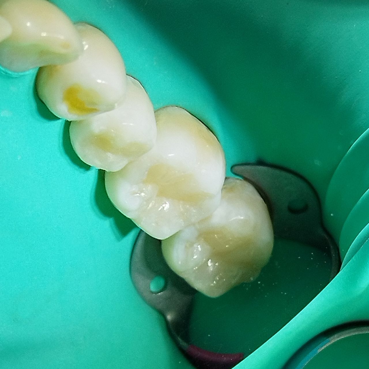 Maribel Domínguez G.-3