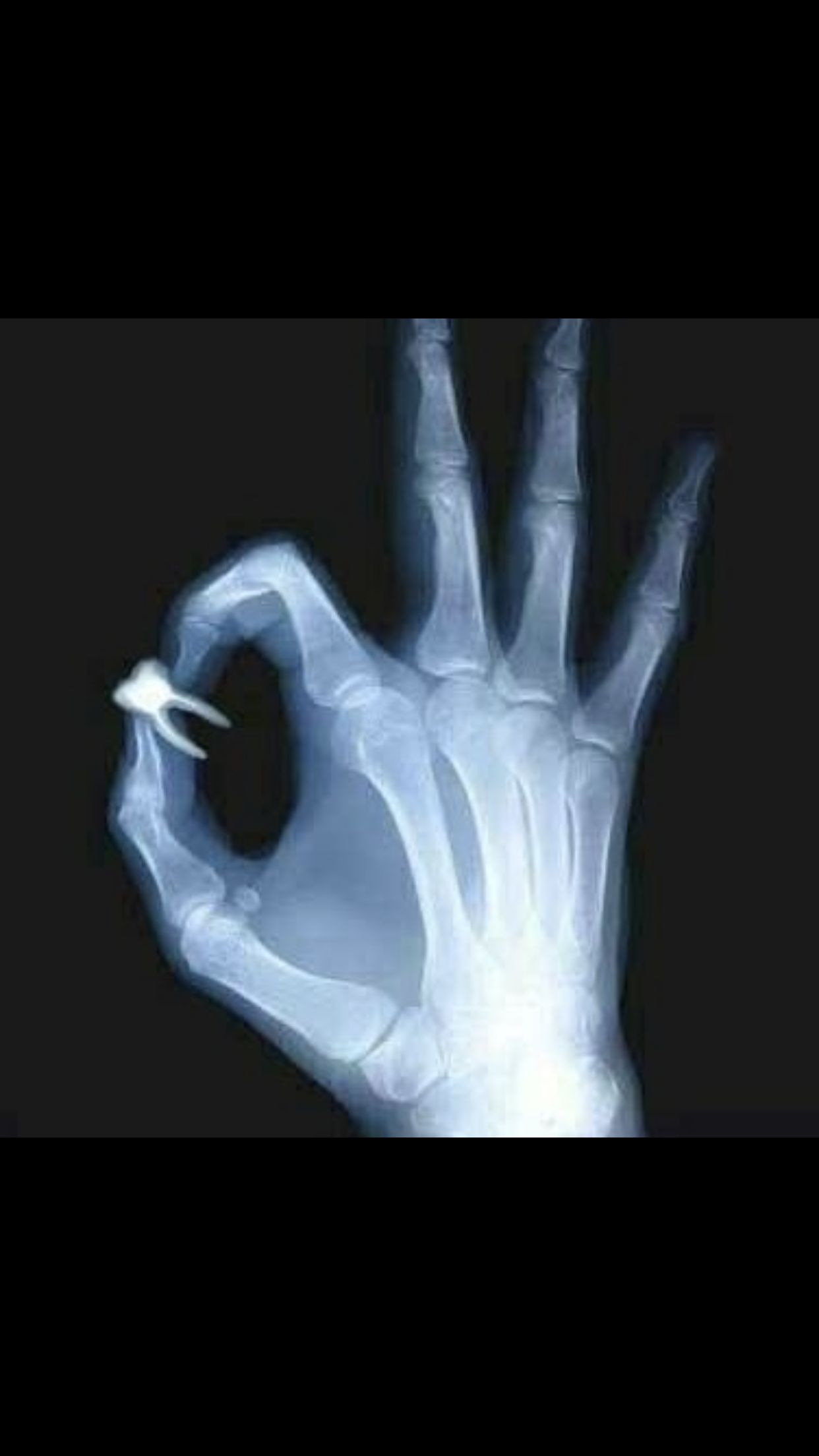 Alicia Araceli Navarro Burguete-26