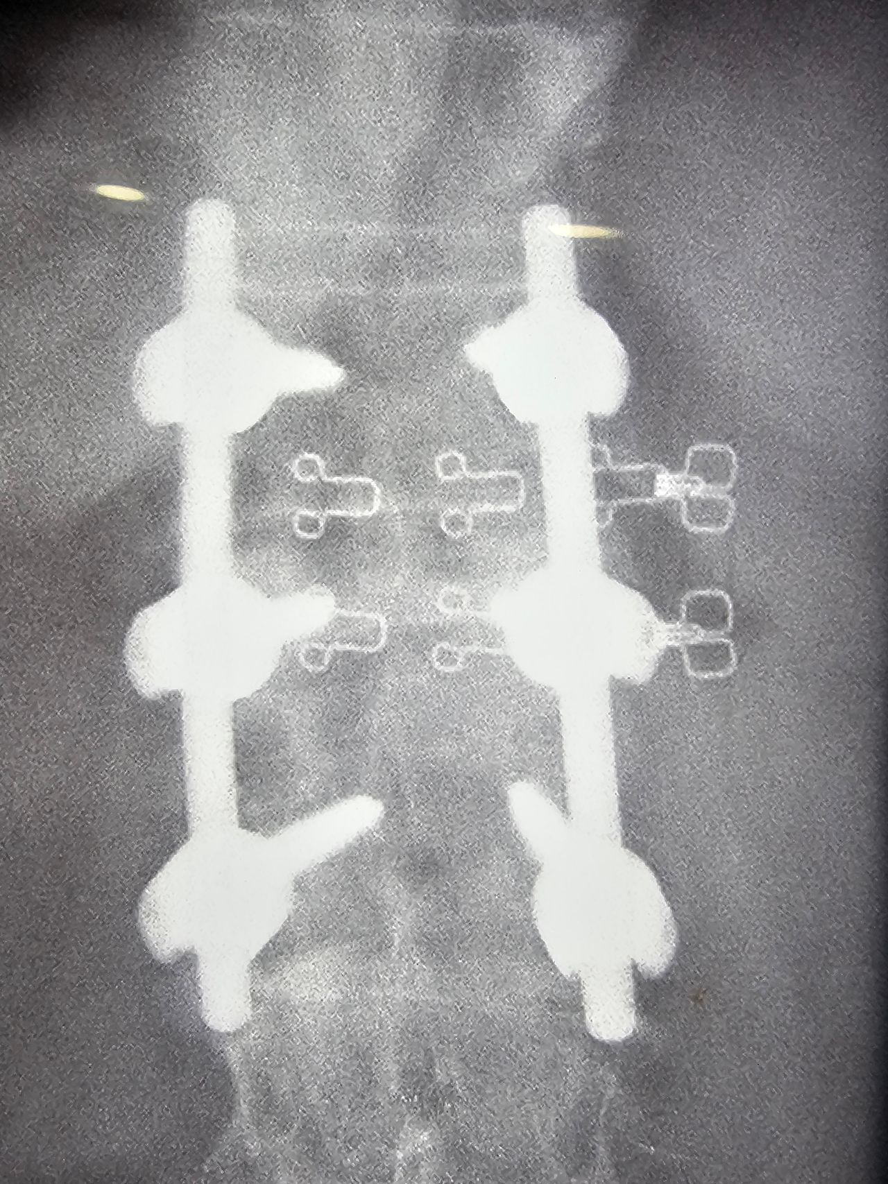 Jaime Galvan Alaniz-28