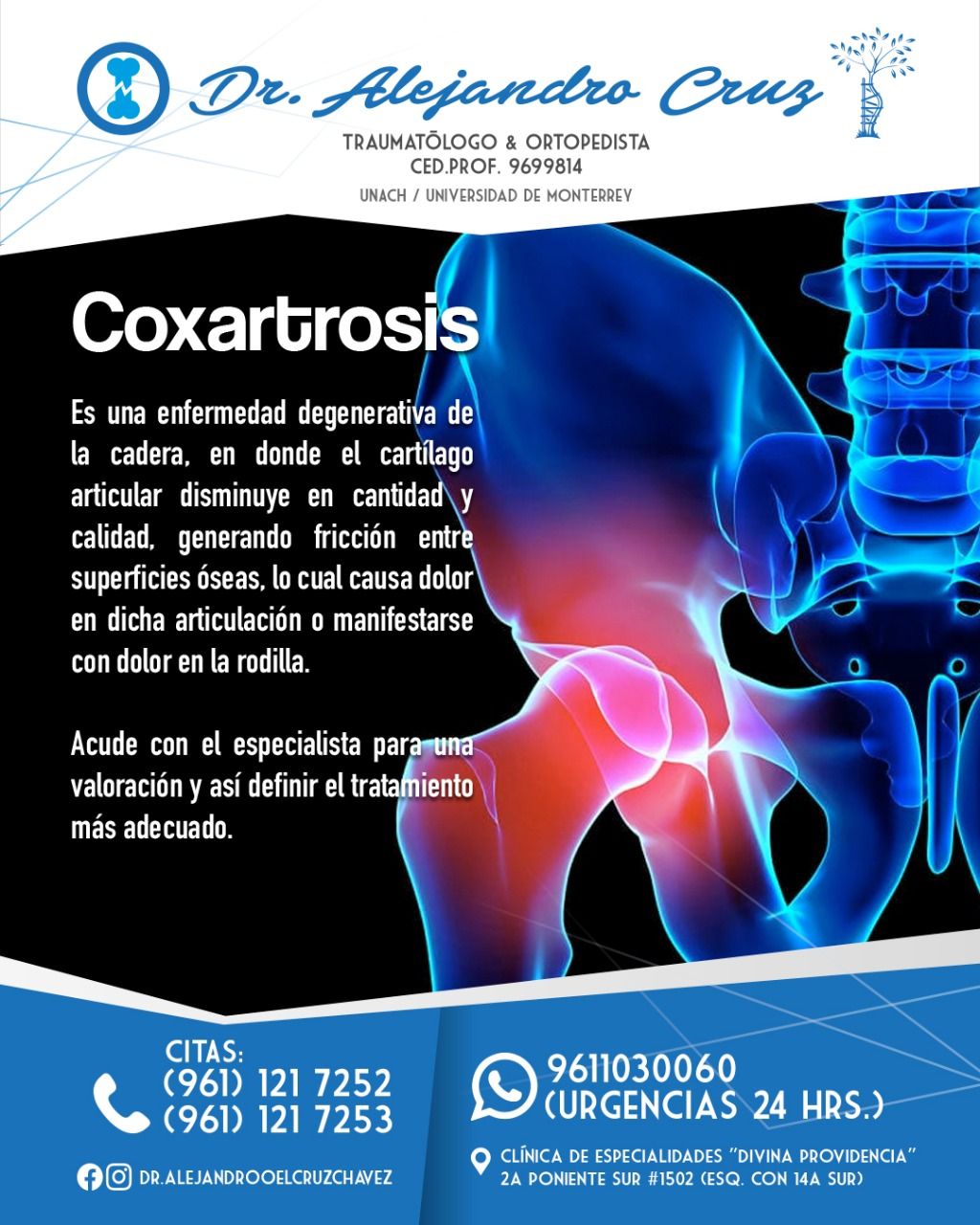 Alejandro Oel Cruz Chavez-10