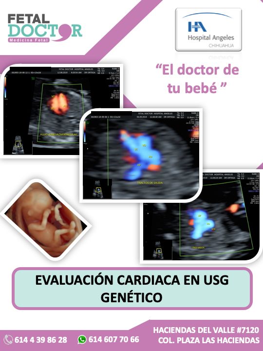 Jesús Manuel Ortega Flores-12