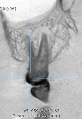 Francisco Victoria Ramirez-4