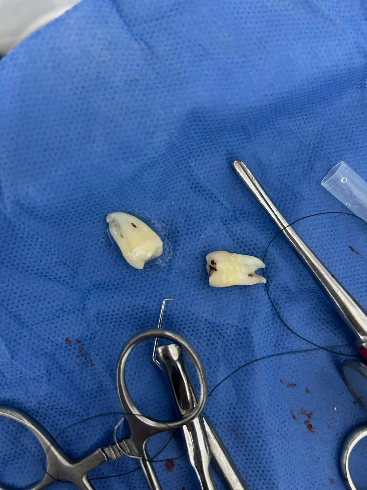 Elda Villarreal Garcia-3