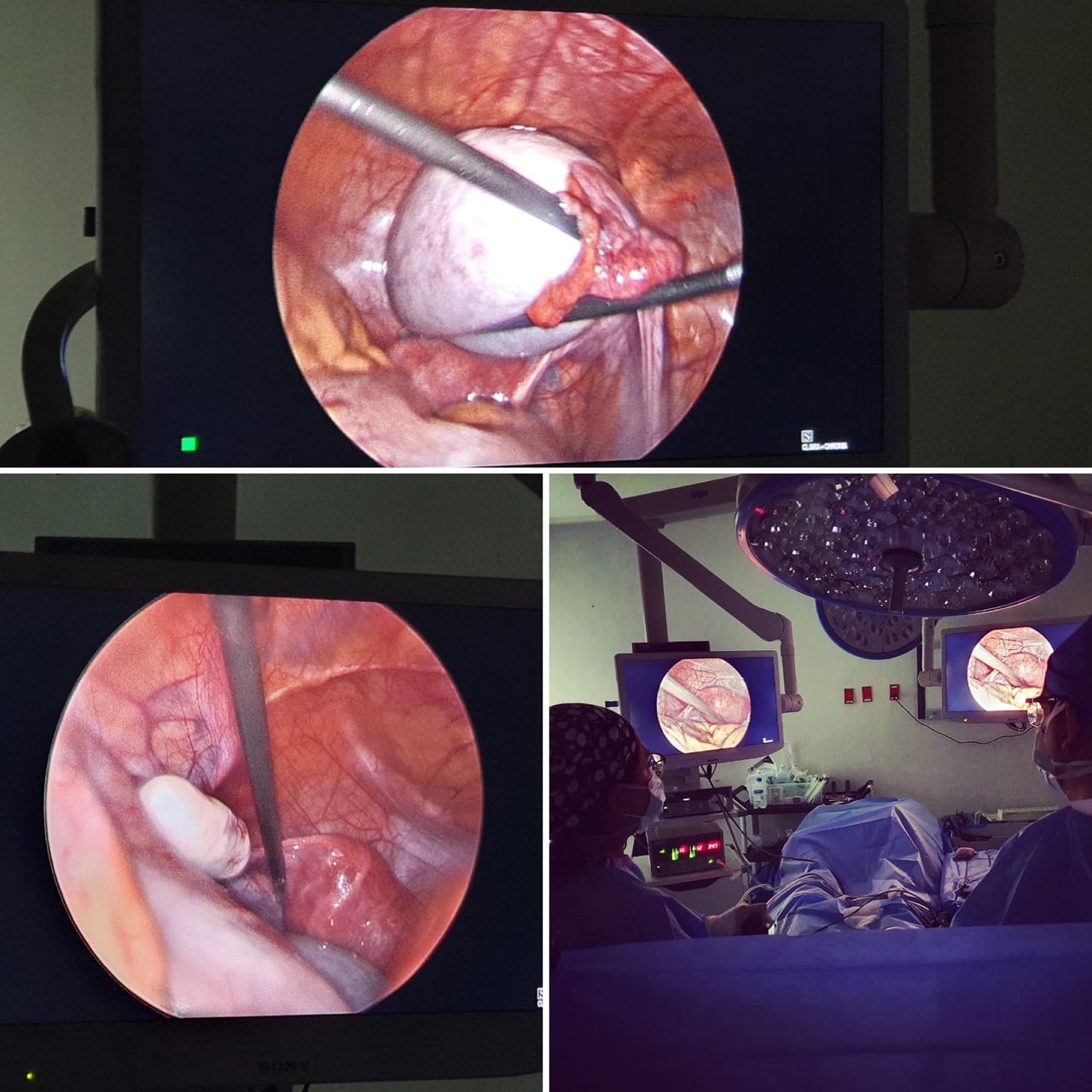 Moises Juda Ramos Abarca-9