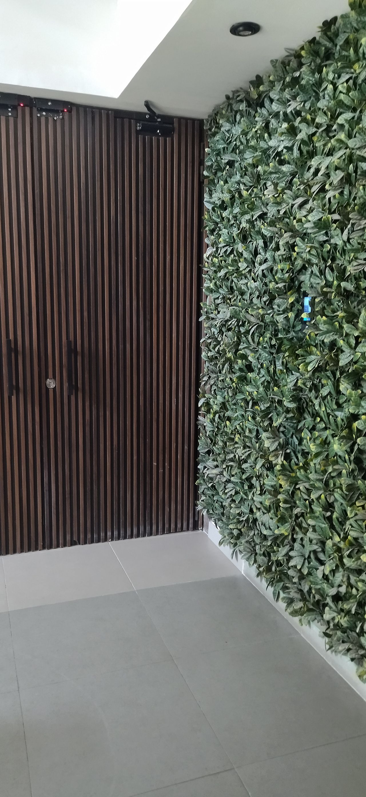 Cintia Ordóñez Pliego-4