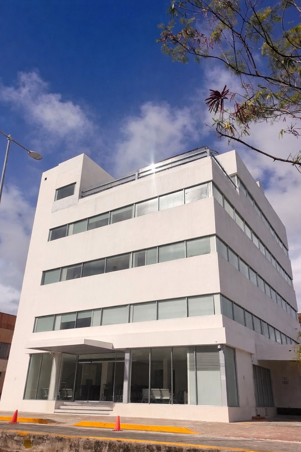 Daniela Serna Garduño-3