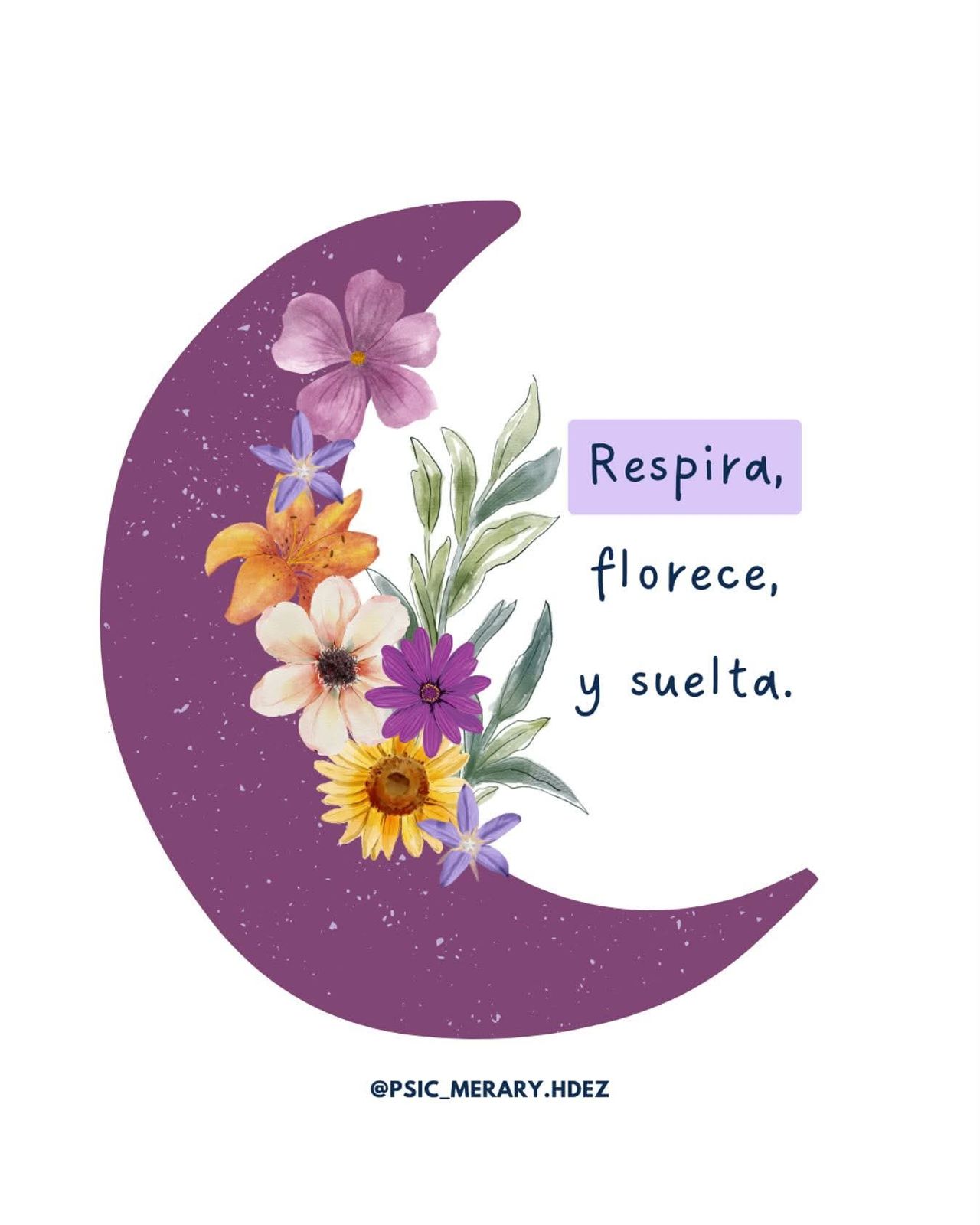 Merary Hernández Becerra-2