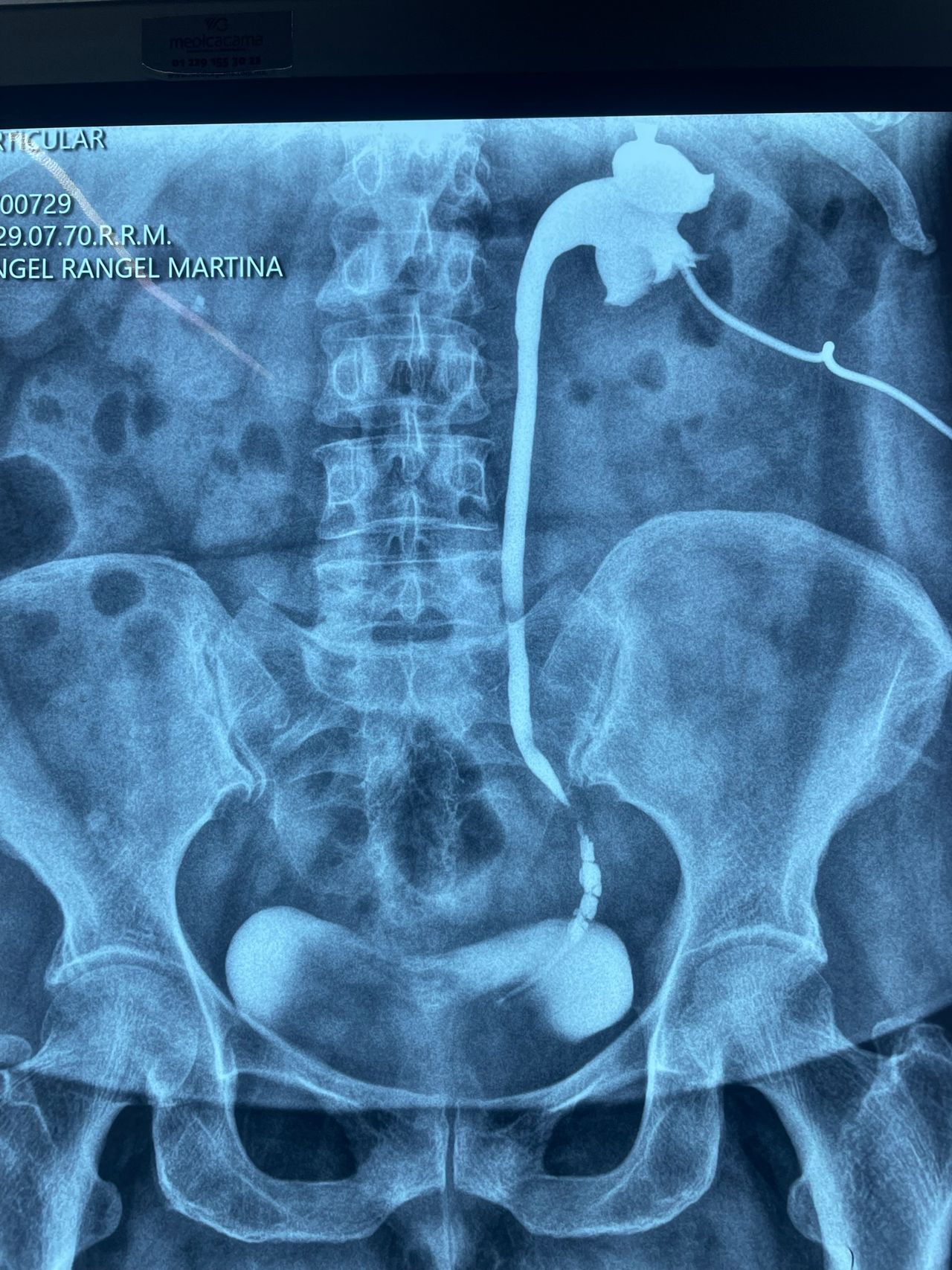 Rodrigo Guevara Gómez-4