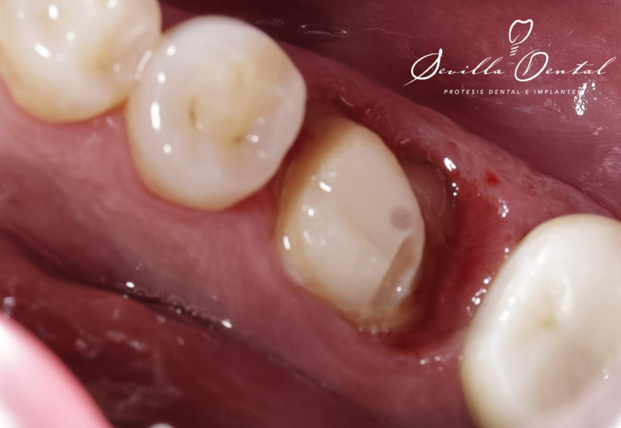 Gemma Marlene Sevilla Olmedo-3