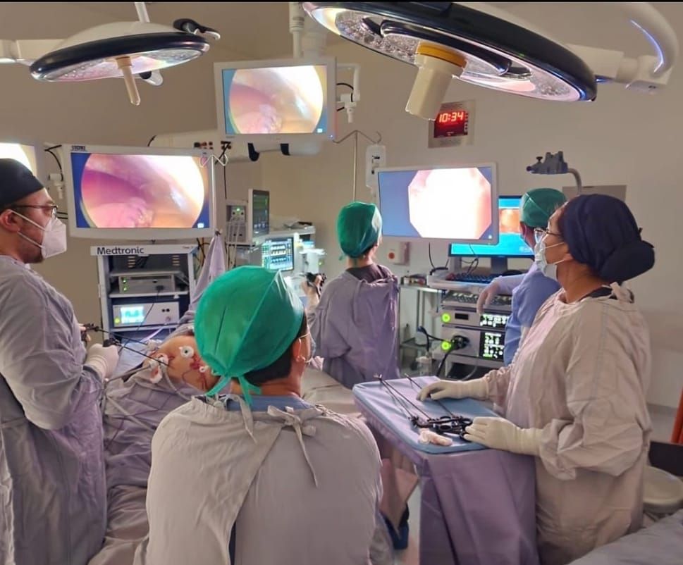 Fernando David Gonzalez Leon-4