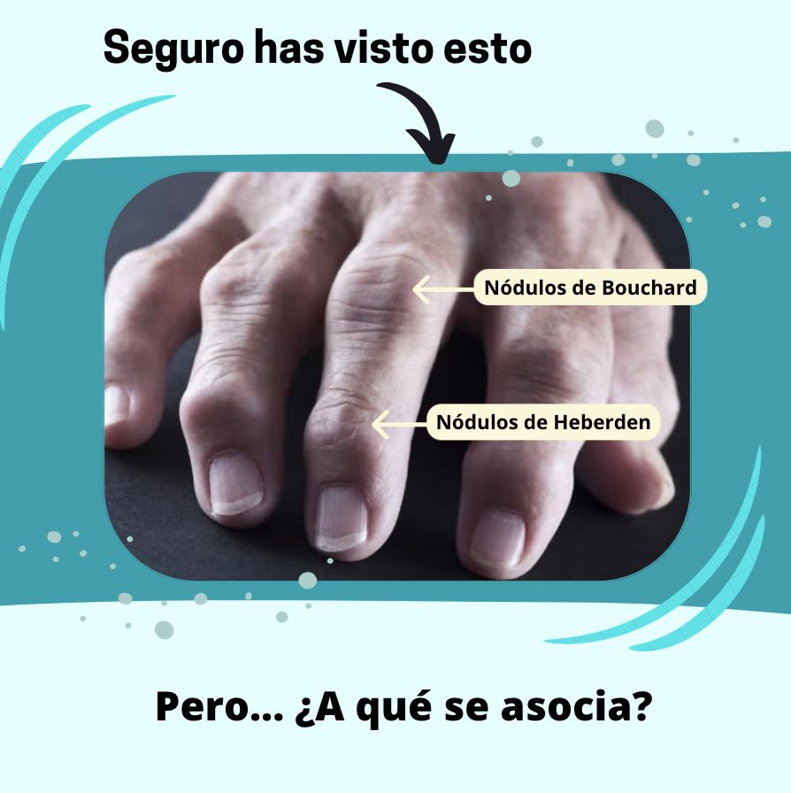 Brenda Lucía Palacios Zárate-3