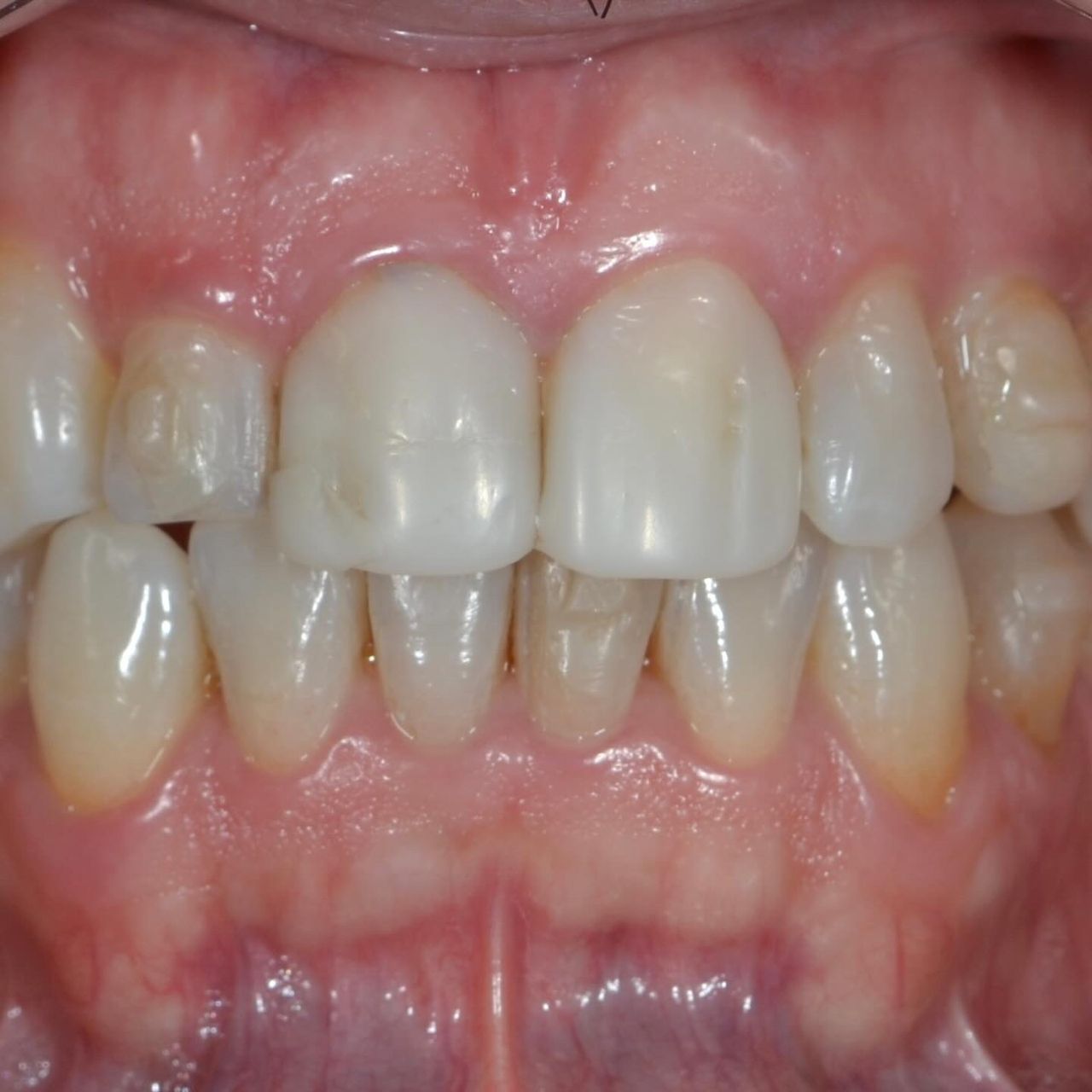 Francisco Jose Vives Serrano-18