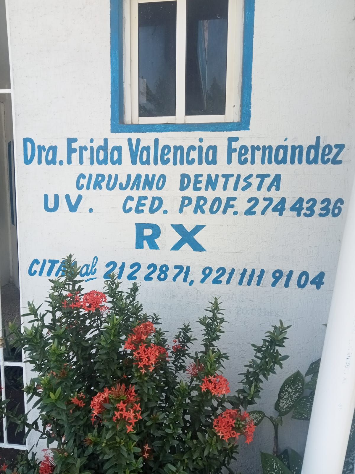 Frida Valencia Fernandez -3