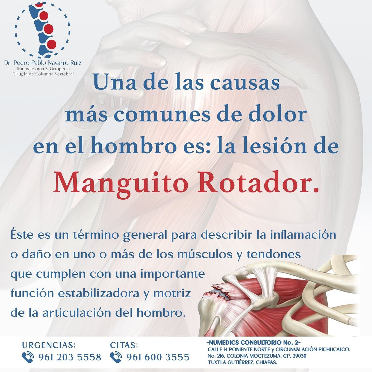 Pedro Pablo Navarro Ruiz-9