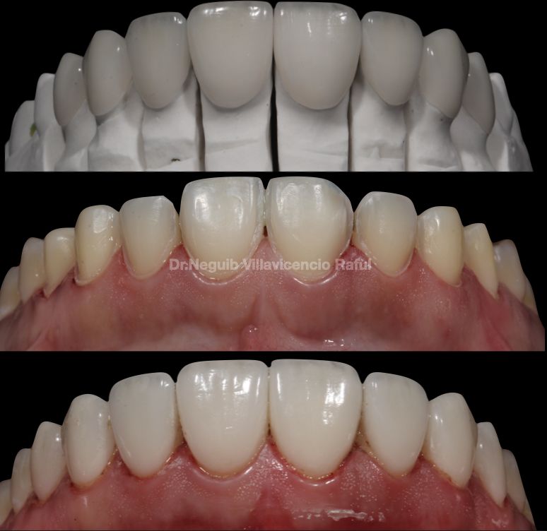 Neguib Villavicencio Raful-39