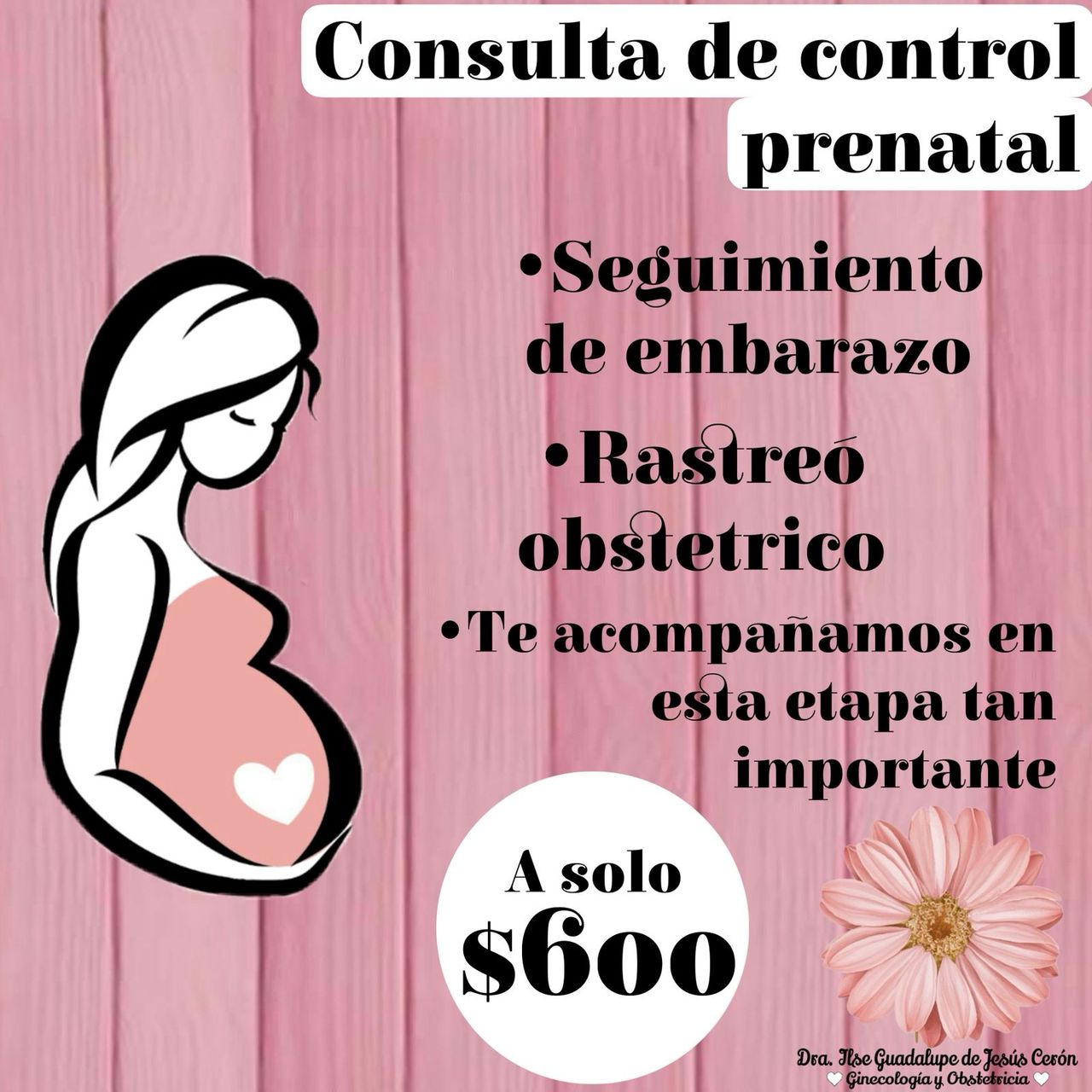 Ilse Guadalupe De Jesús Ceron-1