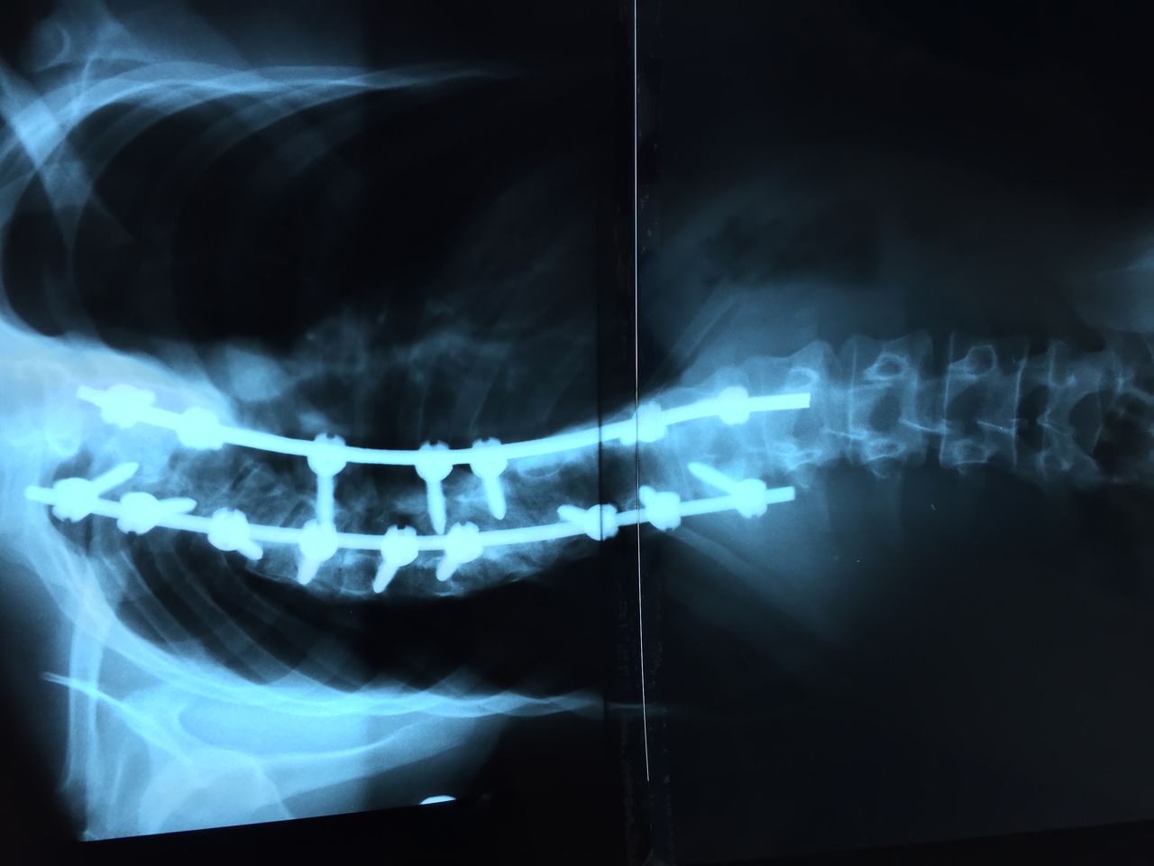 José Antonio Canales Najera-12