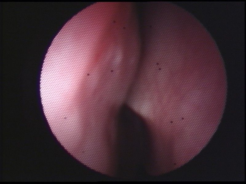 Victor Ignacio Rubi Vazquez-0