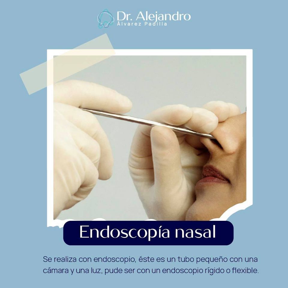 Alejandro Alvarez Padilla-14