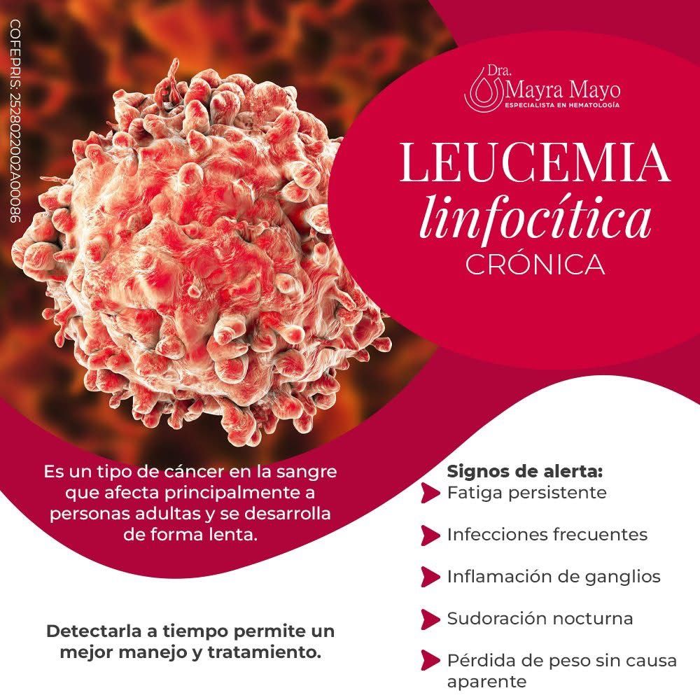 Mayra Lizbeth Mayo Martinez-10