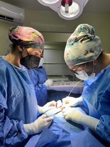 Lilia Dávila Ortiz-0