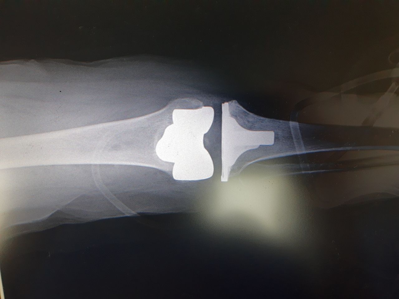 Rodrigo F. Durán Martínez-13