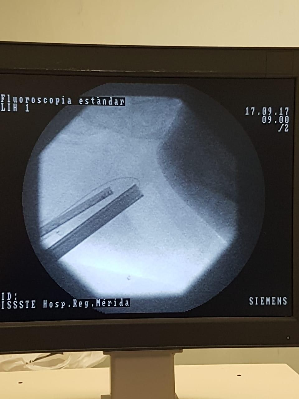 Francisco Emmanuel Navarrete Hernández-11