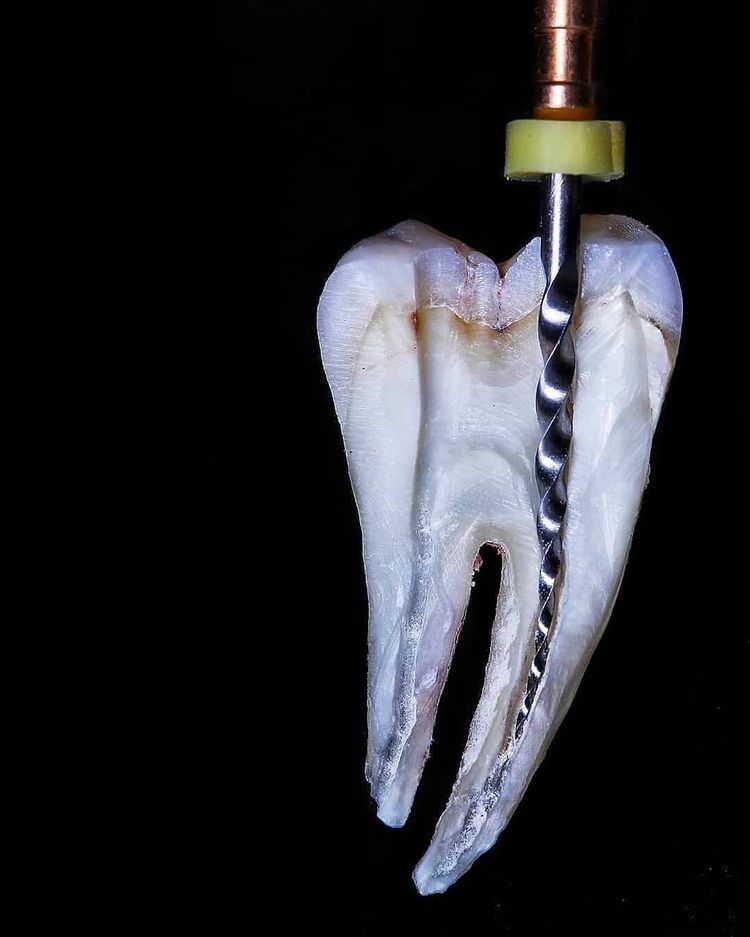 Blanca Elvia Soto Canales-5