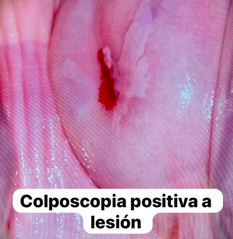 Sandra Faviola Dávila Molina-2