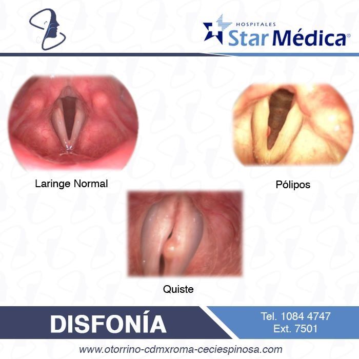 Cecilia Belen Espinosa Arce-24