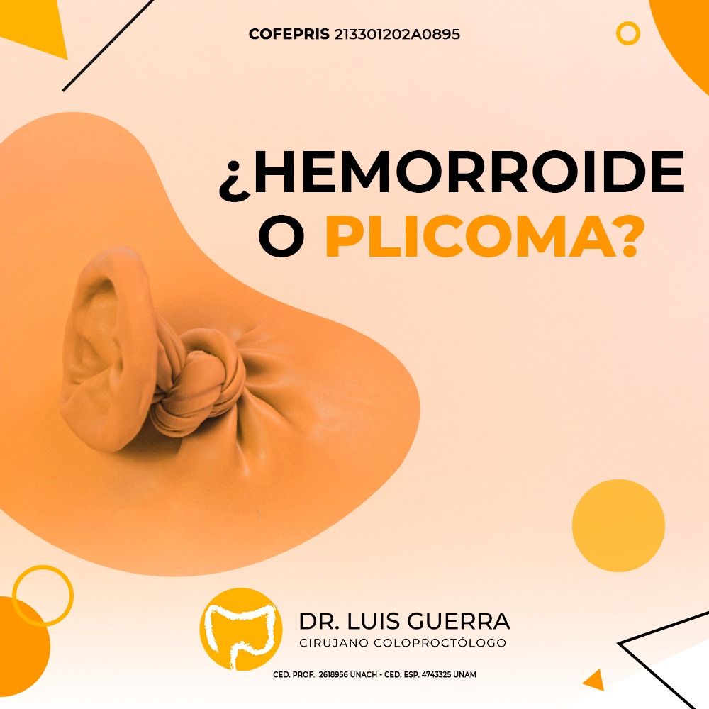 Luis Roberto Guerra Melgar-14