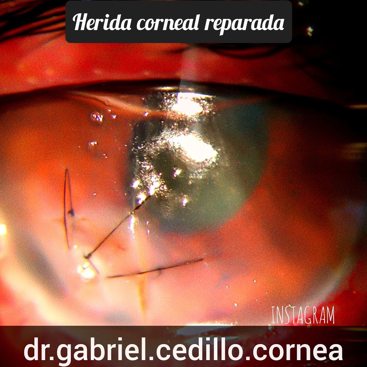 Héctor Gabriel Cedillo García-26