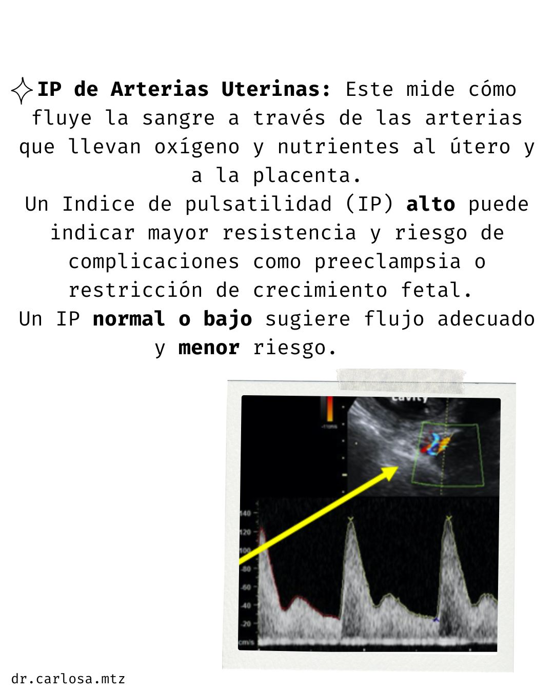 Carlos Arturo Martínez Méndez-16