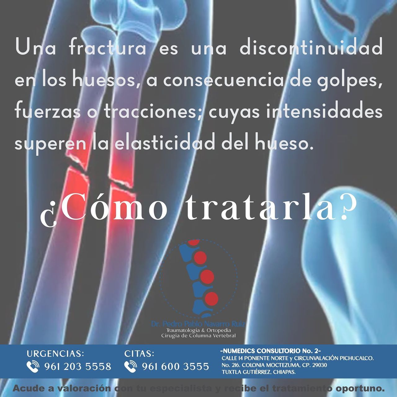 Pedro Pablo Navarro Ruiz-11