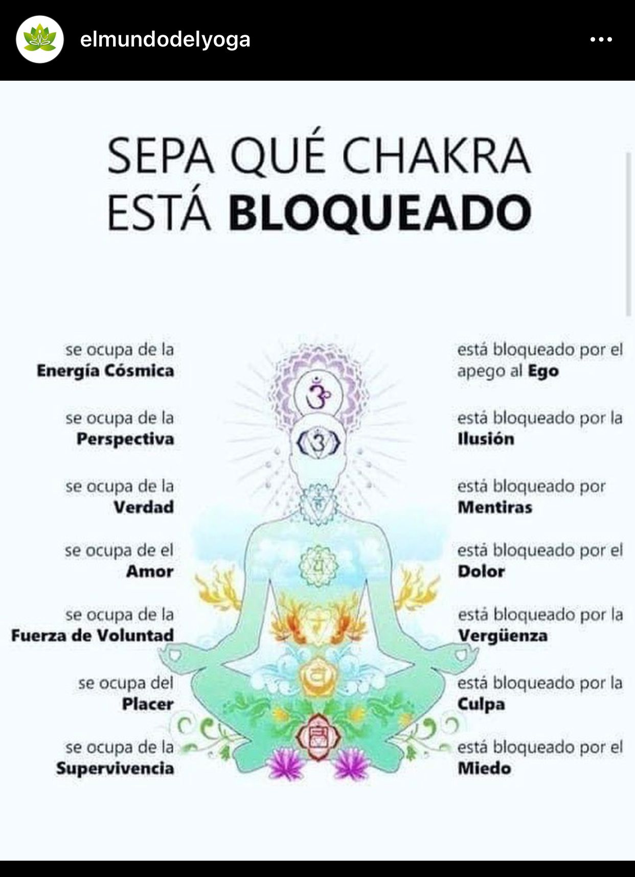 Silvia Torres Abdala-9