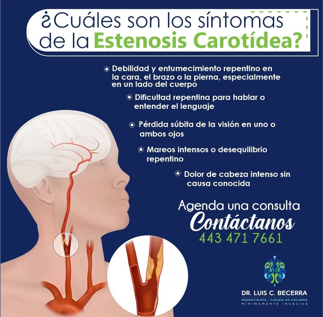 Luis C Becerra-11