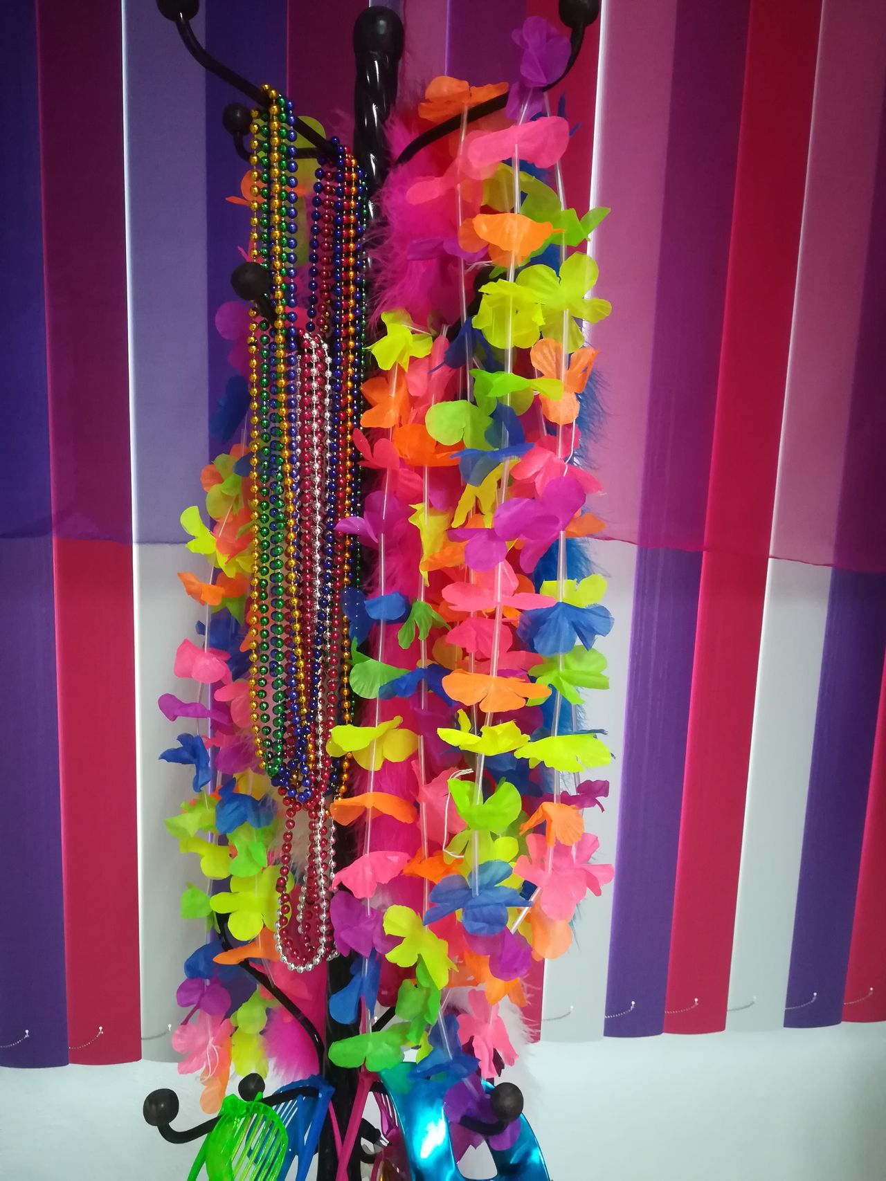 Irma Robles Sánchez-7