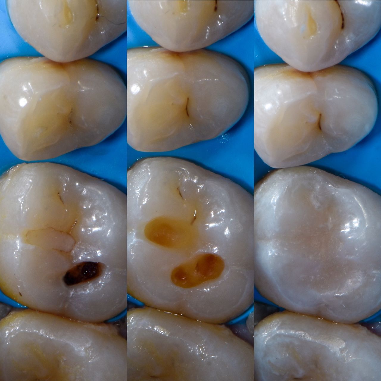 Marco Antonio Silva-0