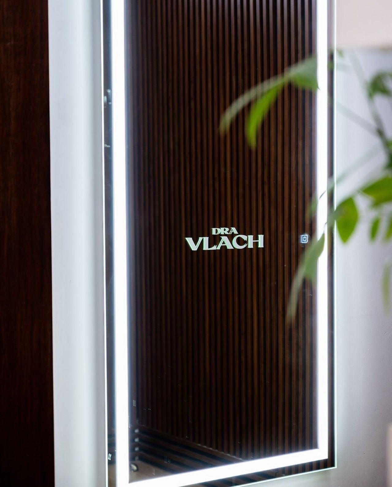 Karla Giovanna Vlach Apodaca-4