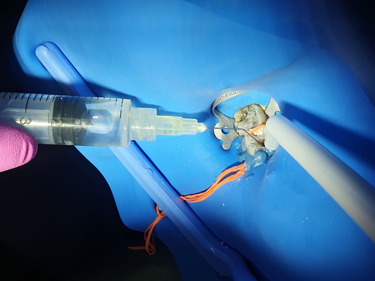 Fabiola Arcos Huesca-60