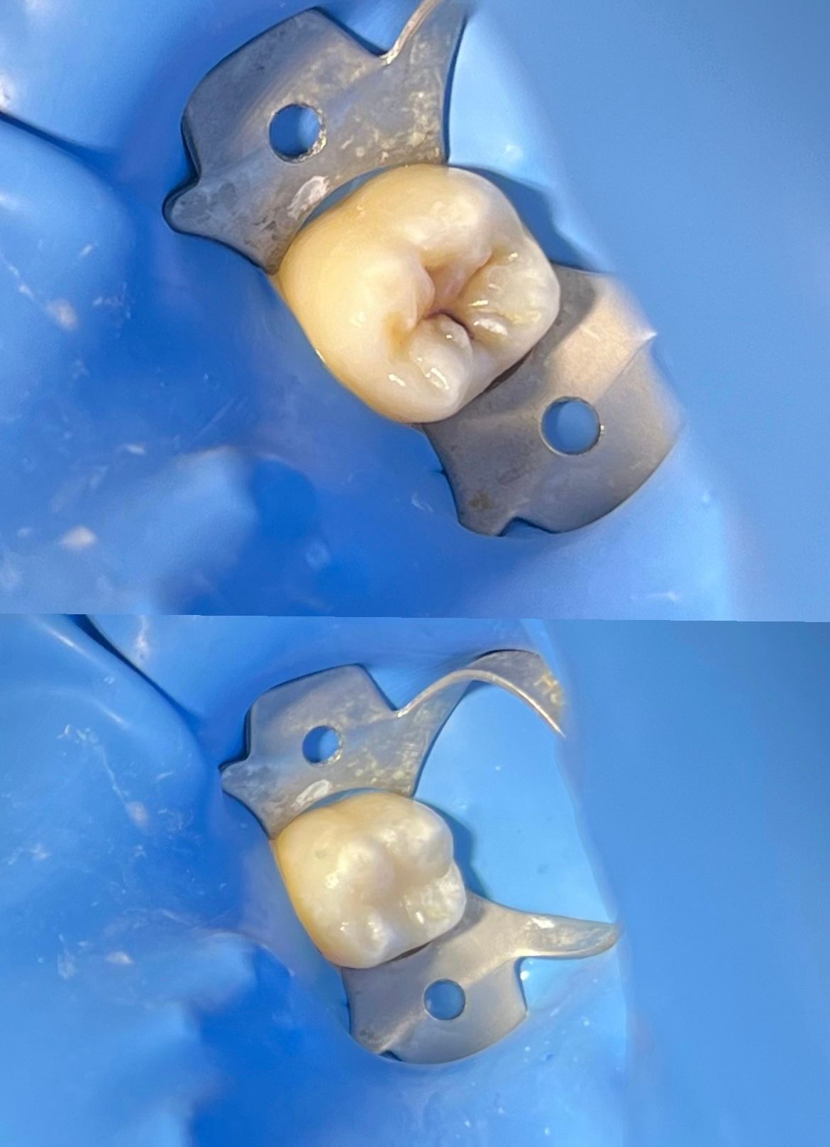 Danyah Canales Soto-3