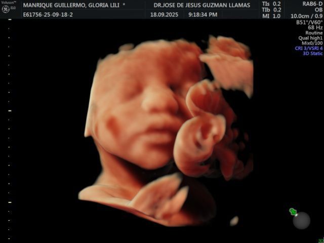 José De Jesús Guzmán Llamas-2