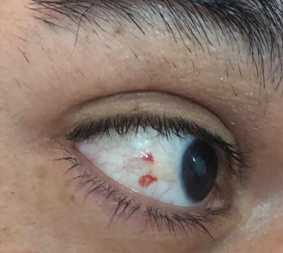 Andrea Cárdenas González-18