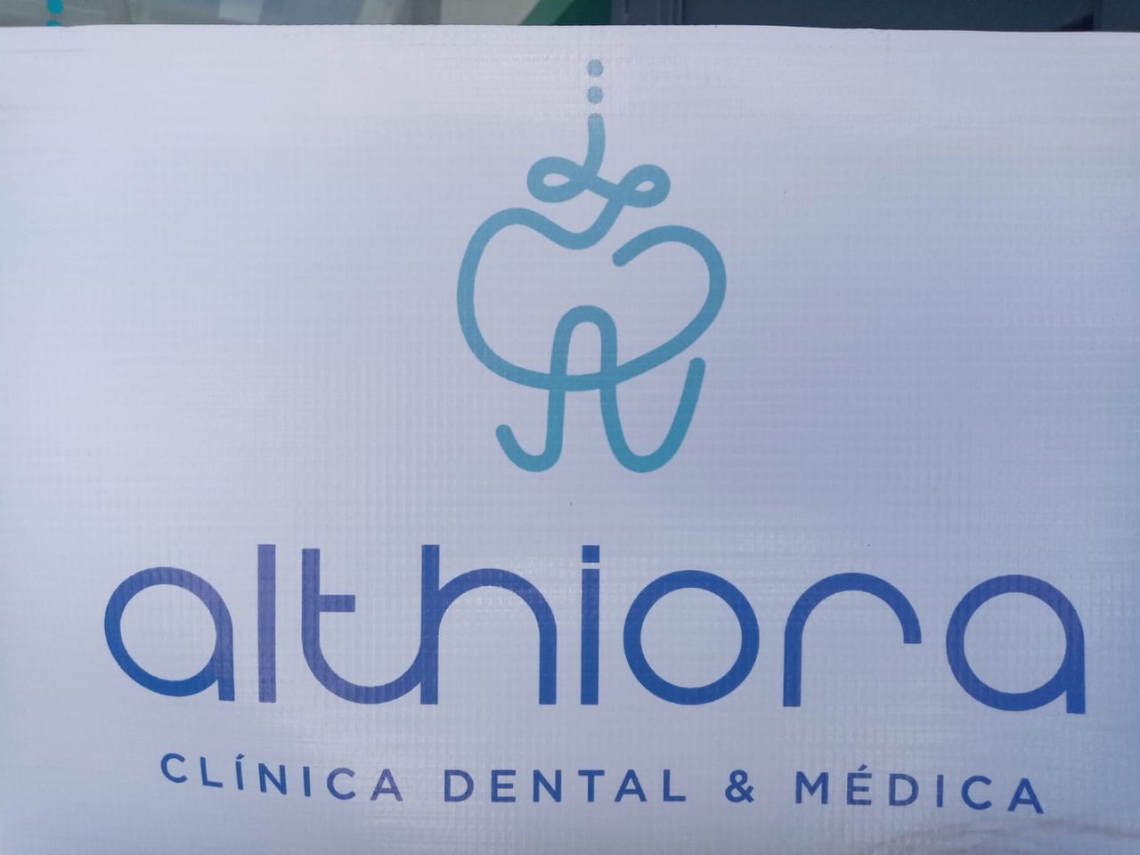 Ma. Carmen Herrera-12