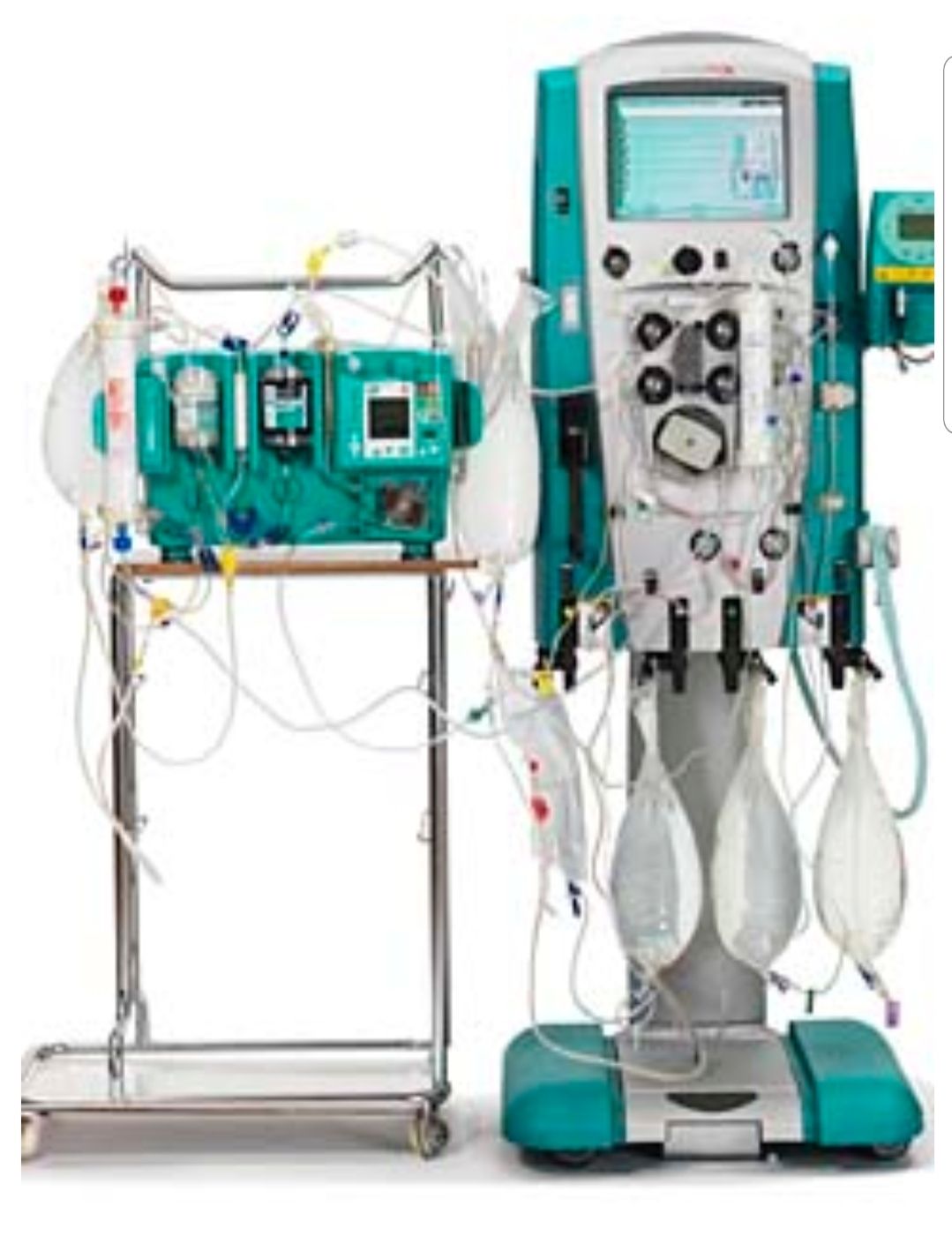 Renato Alberto Domínguez Briones-50