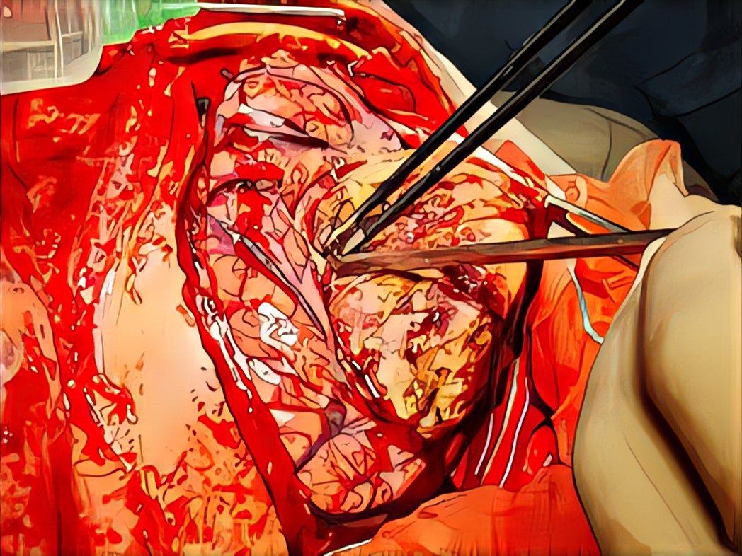 Gilraed Mota García-4